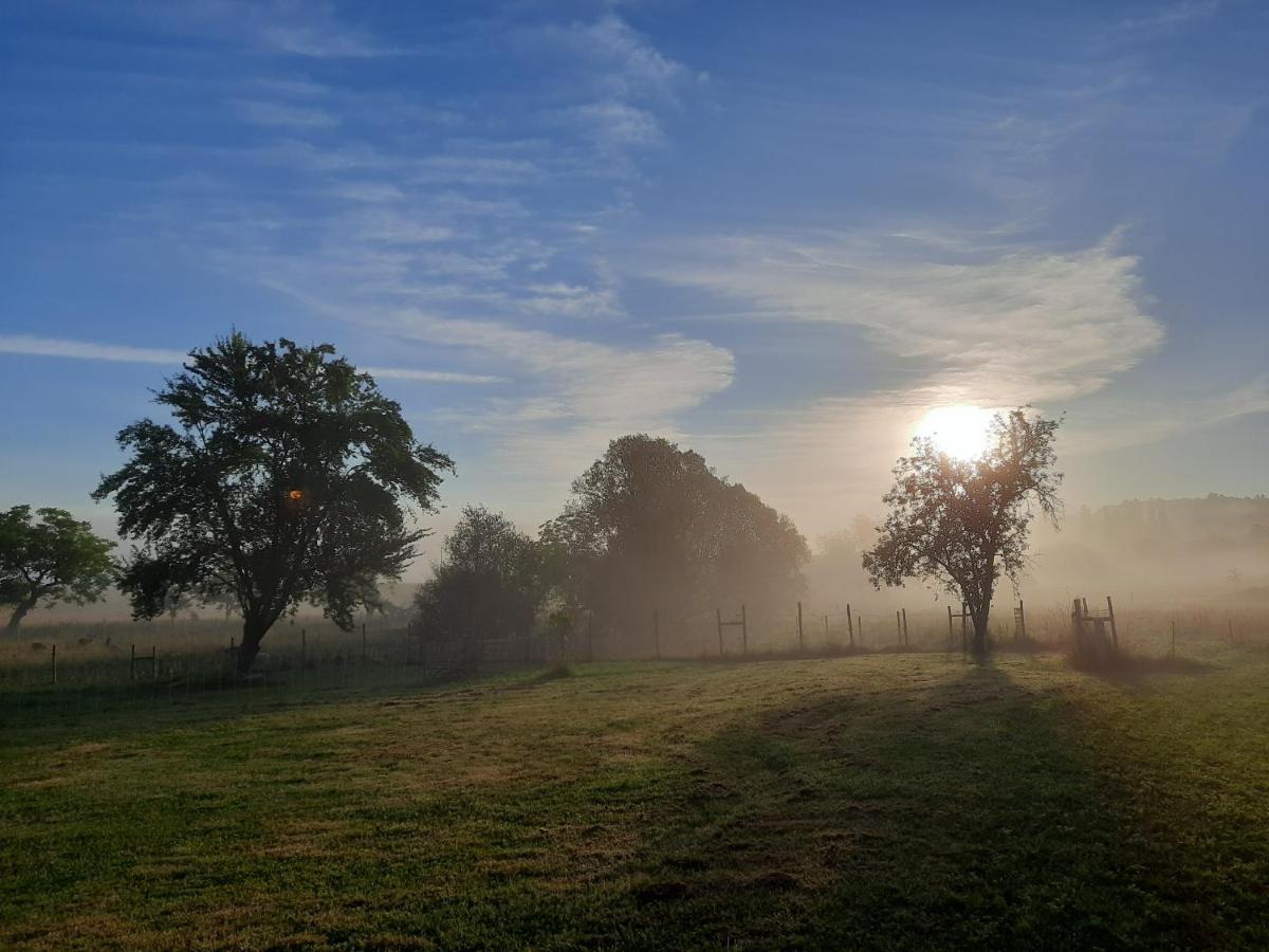 Ferme Des Petites Oreilles 4 Etoiles Montignac-Lascaux Buitenkant foto