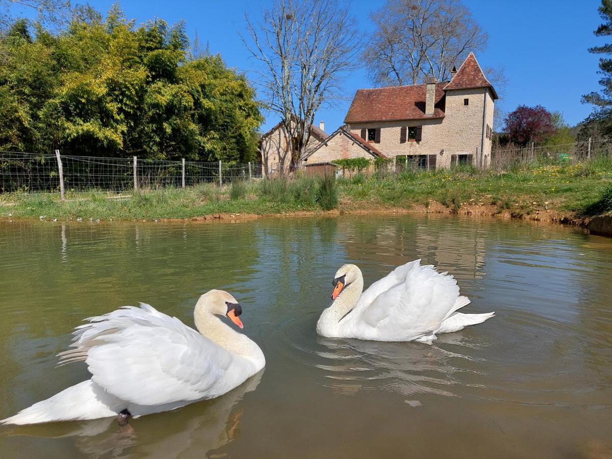 Ferme Des Petites Oreilles 4 Etoiles Montignac-Lascaux Buitenkant foto