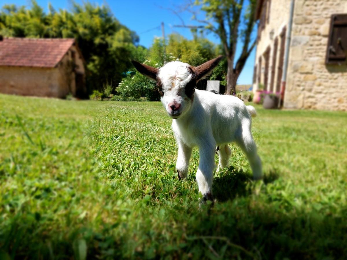 Ferme Des Petites Oreilles 4 Etoiles Montignac-Lascaux Buitenkant foto