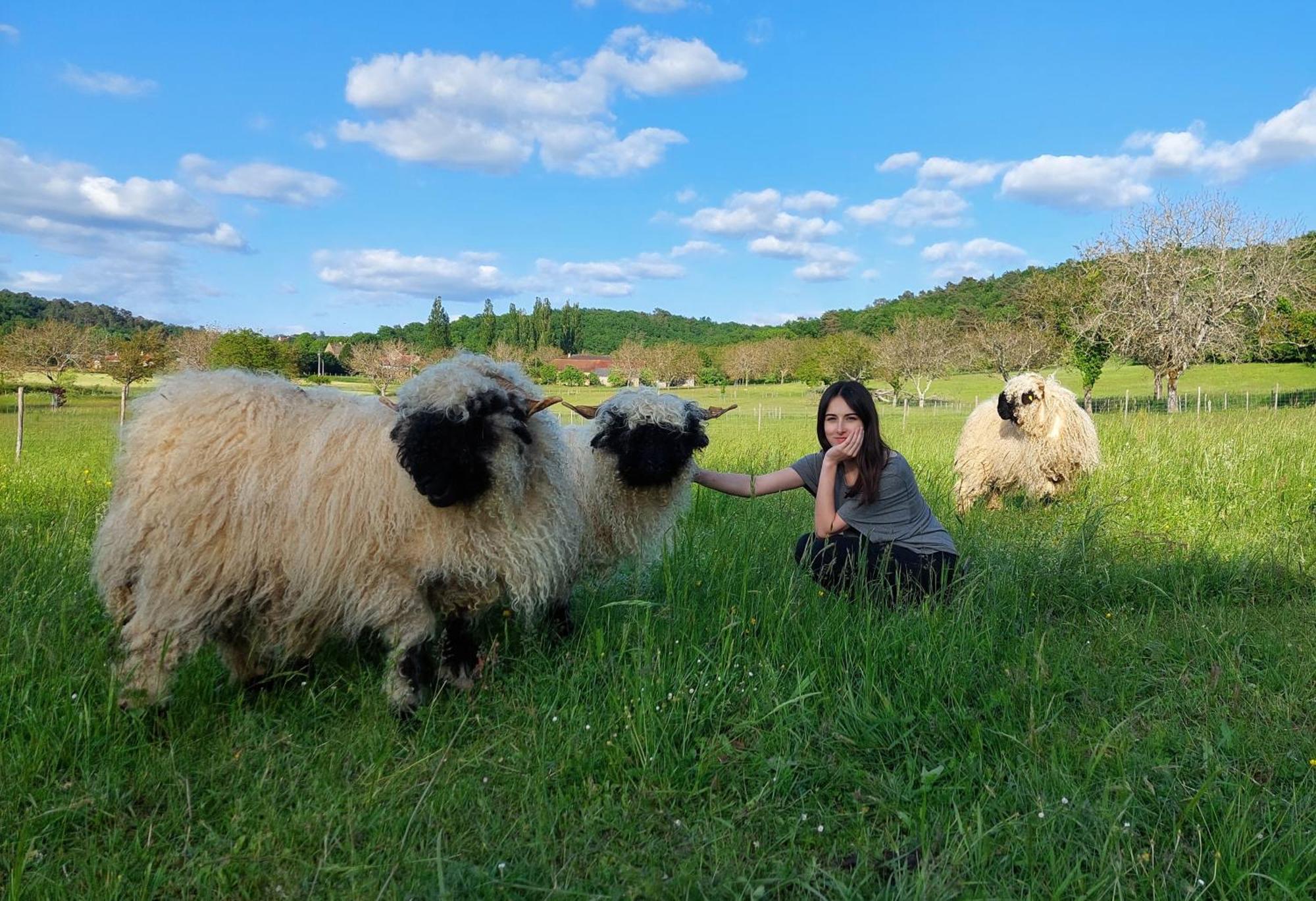 Ferme Des Petites Oreilles 4 Etoiles Montignac-Lascaux Buitenkant foto
