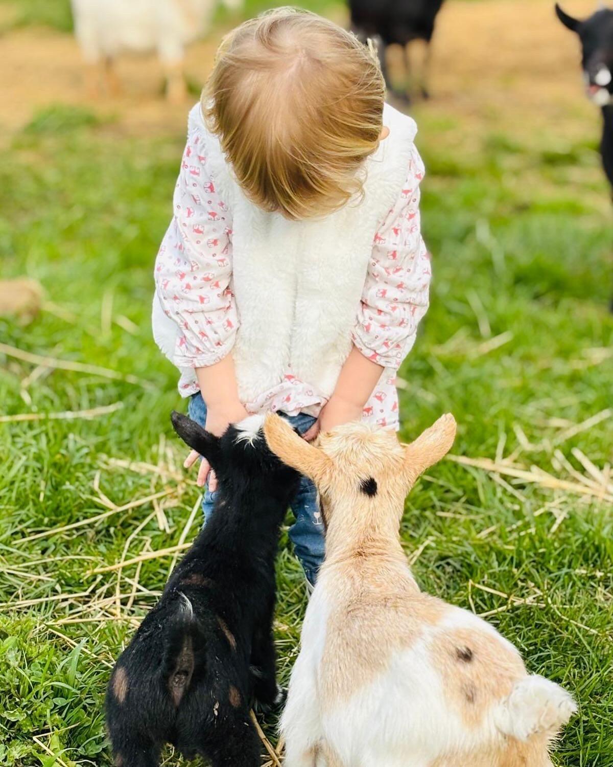 Ferme Des Petites Oreilles 4 Etoiles Montignac-Lascaux Buitenkant foto